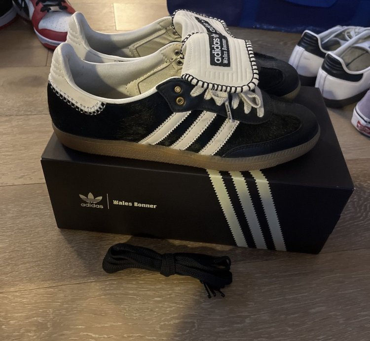 Wb Pony Tonal Samba