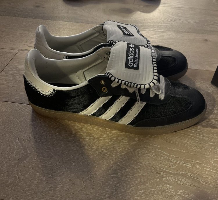 Wb Pony Tonal Samba