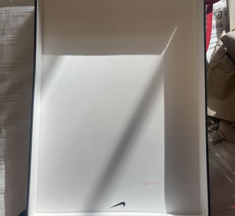 Air Jordan 1 Bred Banned