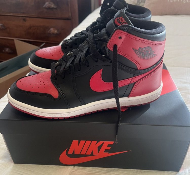 Air Jordan 1 Bred Banned