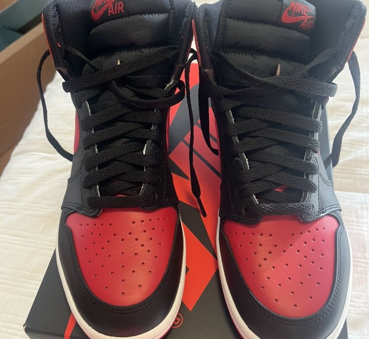 Air Jordan 1 Bred Banned