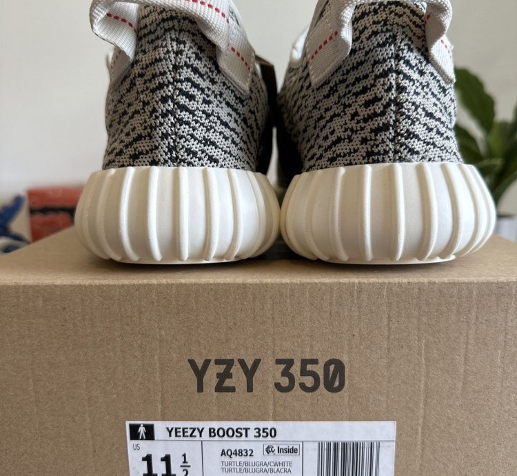 Yeezy 350 Turtle Dove 2023