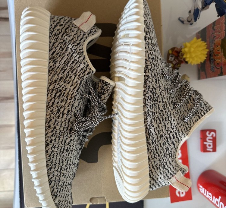 Yeezy 350 Turtle Dove 2023