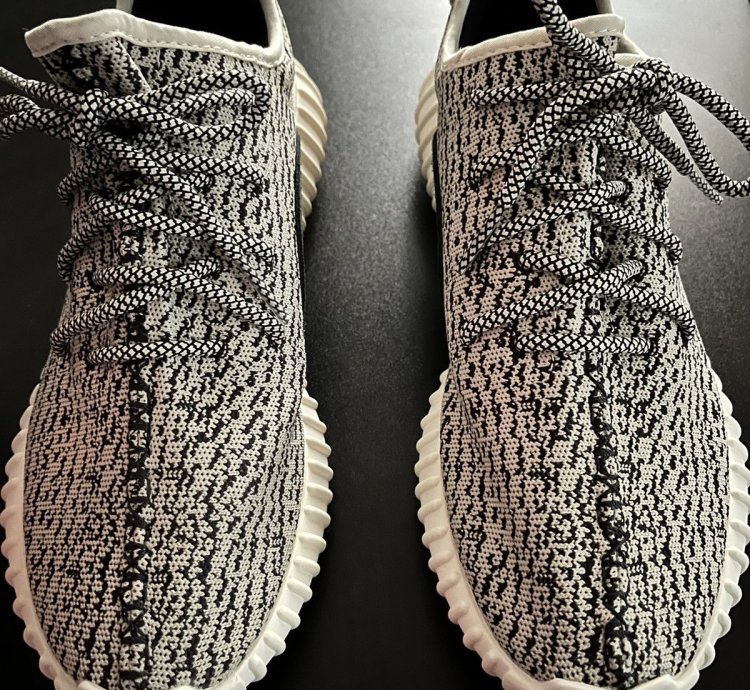 Yeezy 350 Turtledove