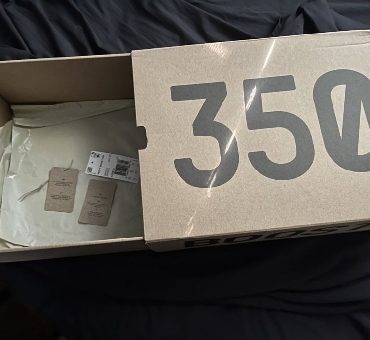 Yeezy 350 Turtledove