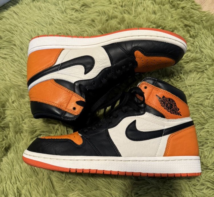 Air Jordan 1 High Shattered Backboard 1 0