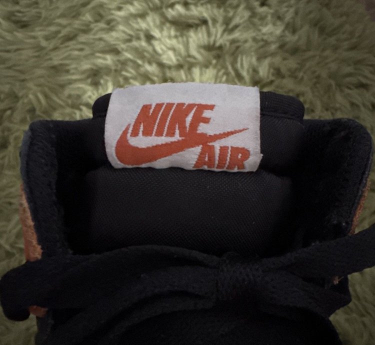 Air Jordan 1 High Shattered Backboard 1 0