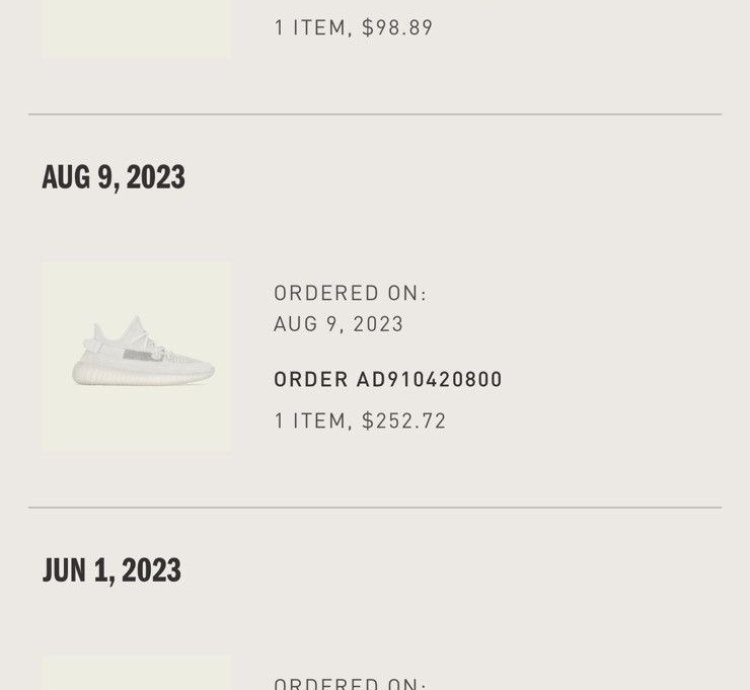 Yeezy 350 V2 Bones
