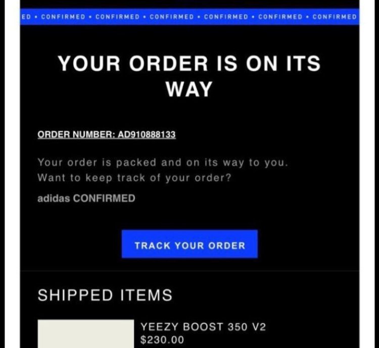 Yeezy 350 V2 Granite Adidas - Size 10 5 Ds