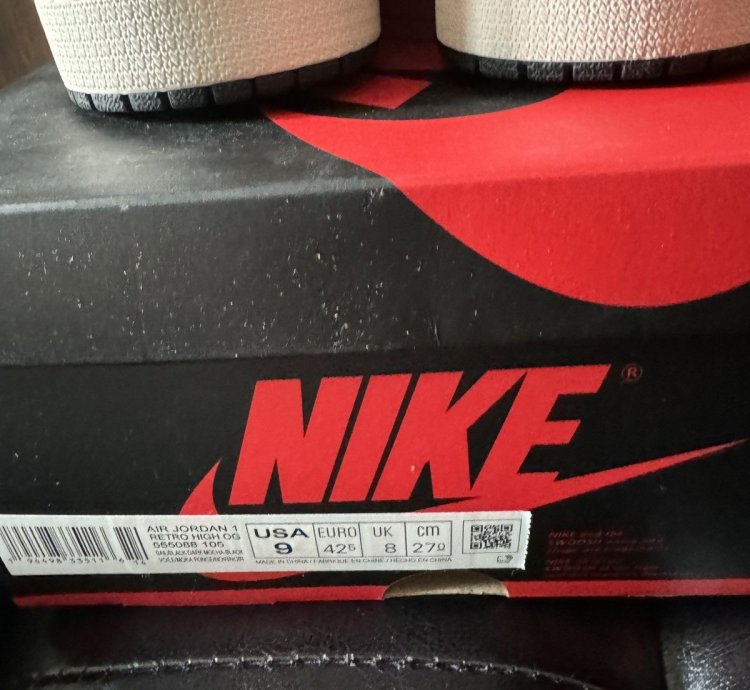 Air Jordan 1 Mocha Retro High Og