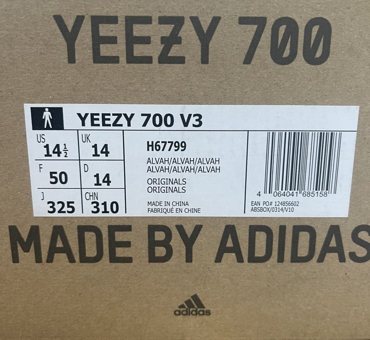 Yeezy 700 V3 Alvah 14 5