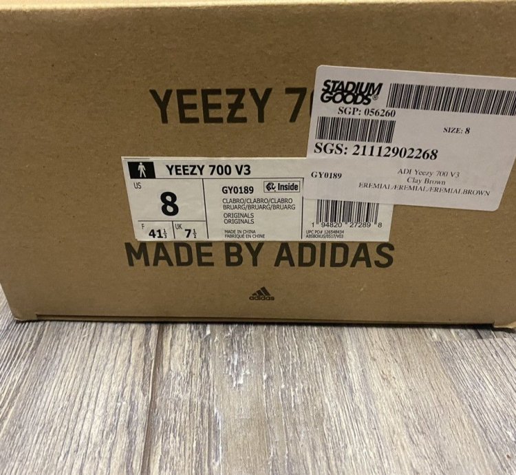Yeezy 700 V3 Clay Brown