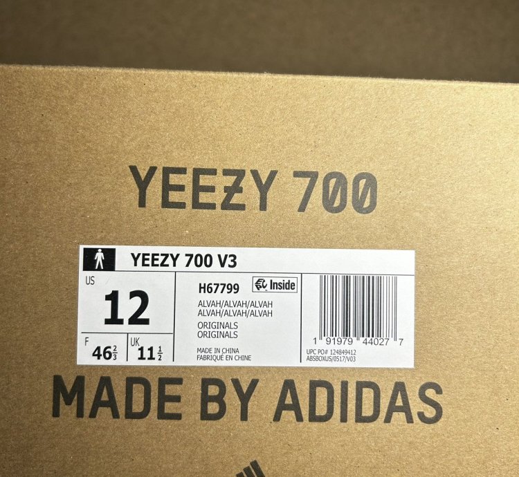 Yeezy 700 V3- Alvah