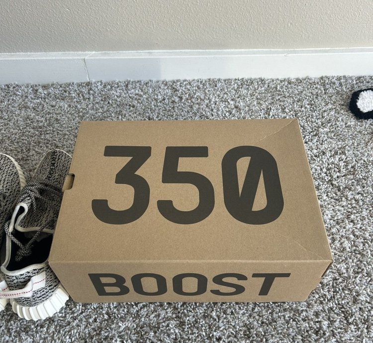Yeezy Adidas 350 Boost Turtledove
