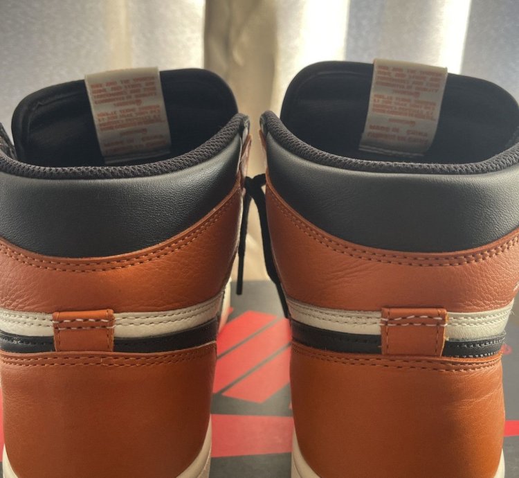 Air Jordan 1 Shattered Backboard