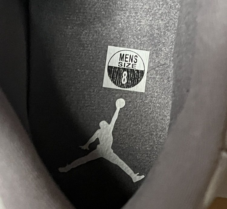 Air Jordan 11 Cool Grey