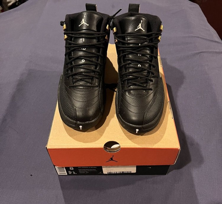 Air Jordan 12 Retro The Master 2016