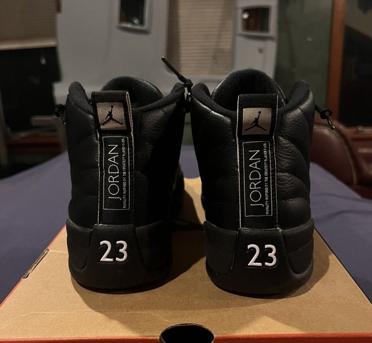 Air Jordan 12 Retro The Master 2016