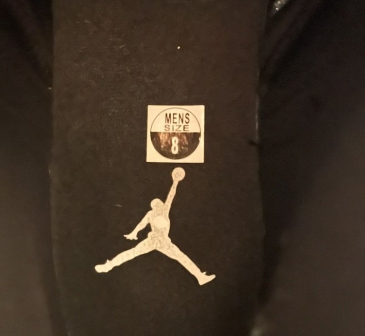 Air Jordan 12 Retro The Master 2016