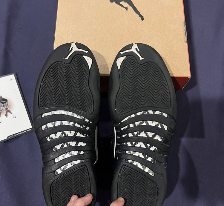 Air Jordan 12 Retro The Master 2016
