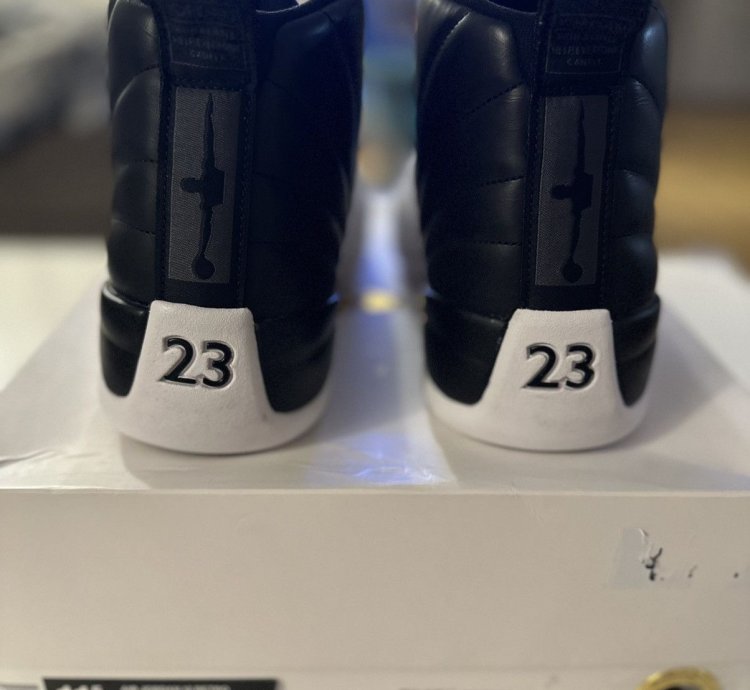 Air Jordan 12 Retro Wings