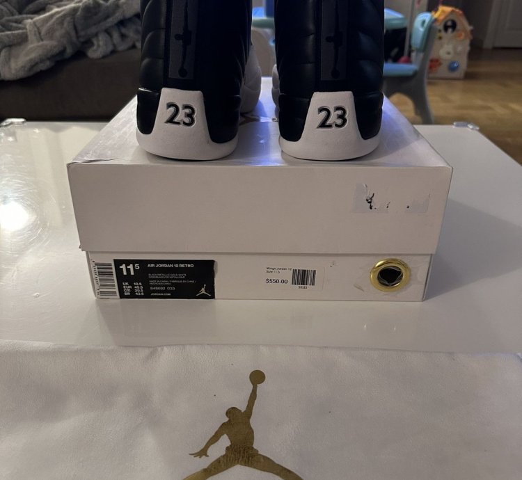 Air Jordan 12 Retro Wings