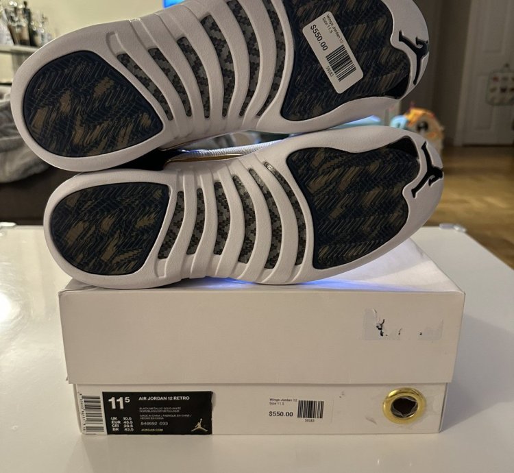 Air Jordan 12 Retro Wings