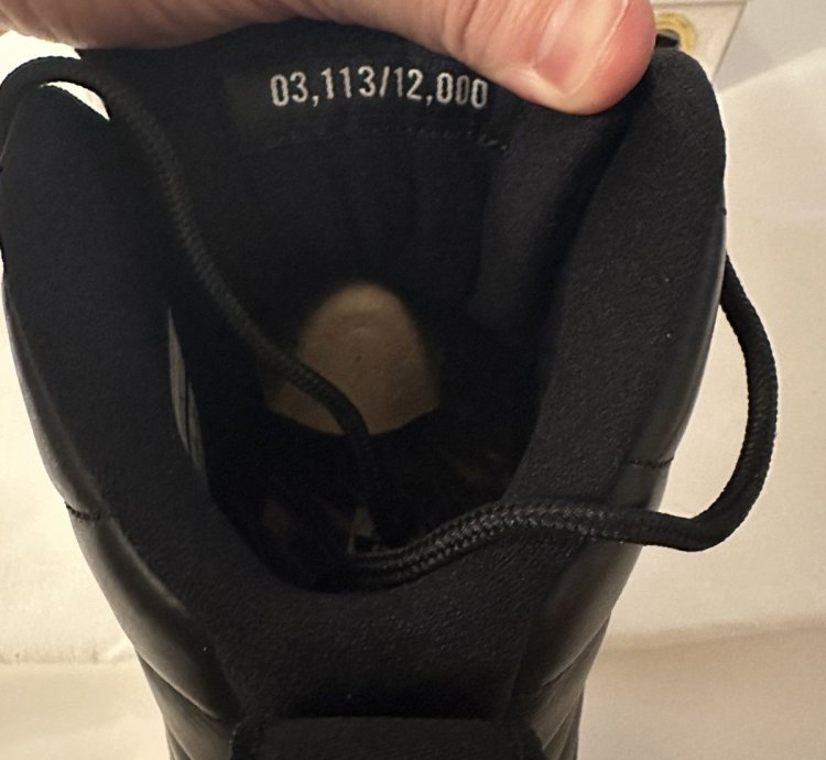 Air Jordan 12 Retro Wings