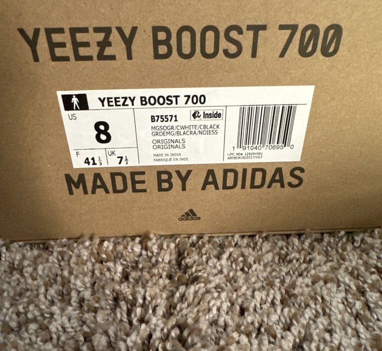 Yeezy Boost 700 Wave Runner