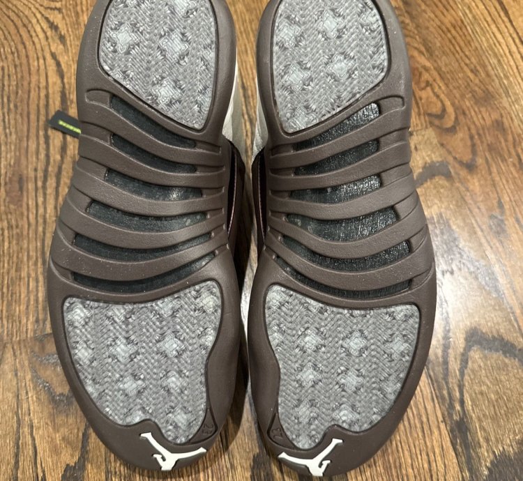 Air Jordan 12 Solefly