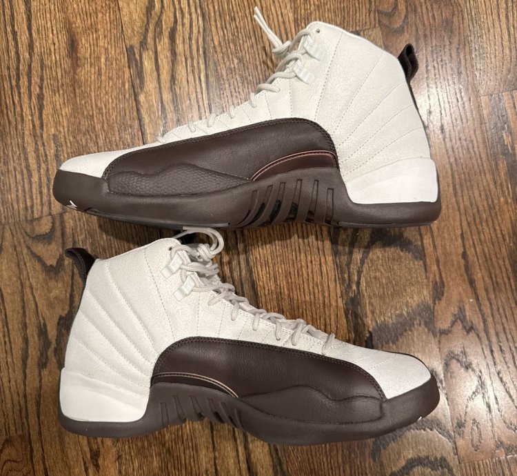 Air Jordan 12 Solefly