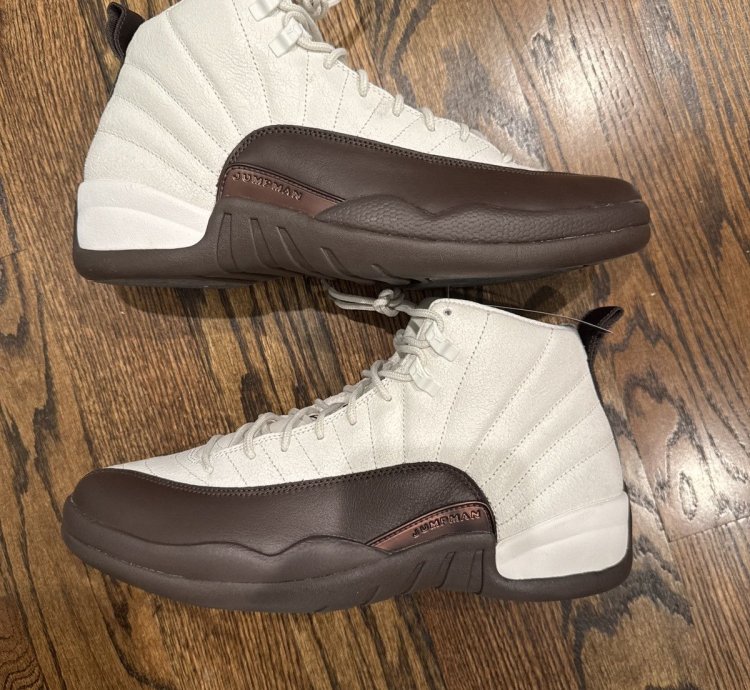 Air Jordan 12 Solefly