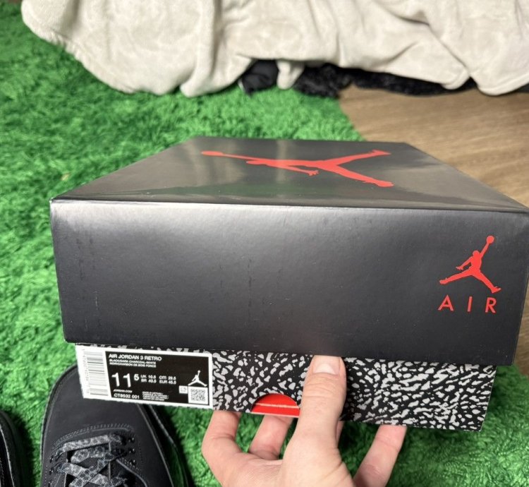 Air Jordan 3 Black Cat 2025
