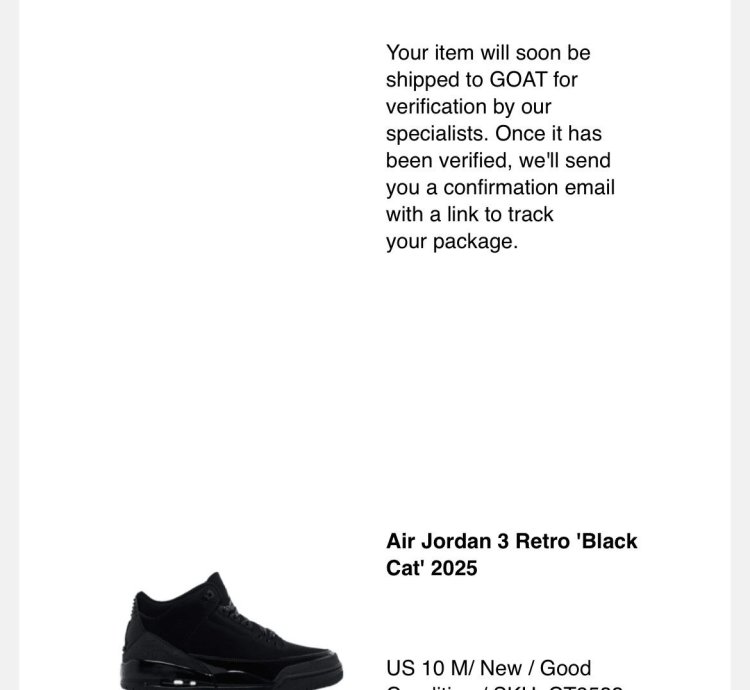Air Jordan 3 Black Cat Sz 10