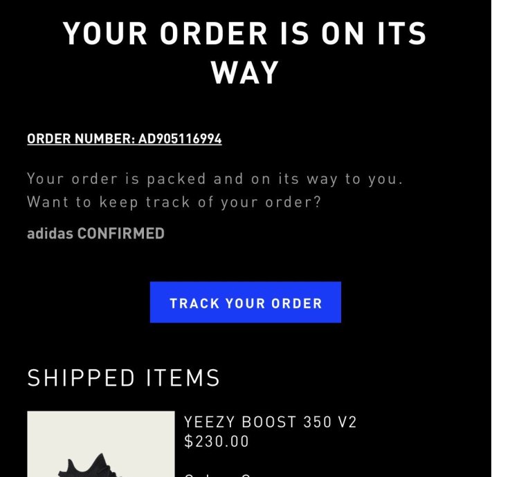 Yeezy Onyx 350