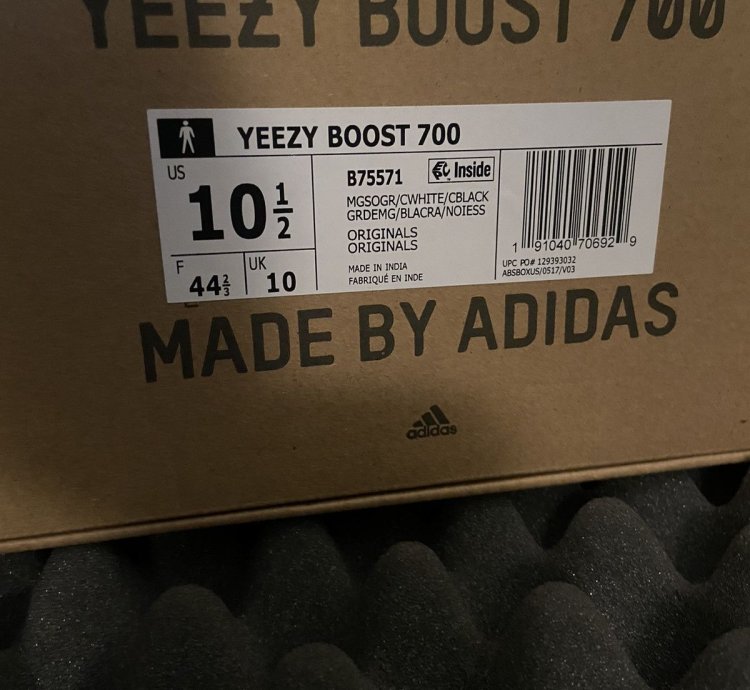 Yeezy Wave Runner 700