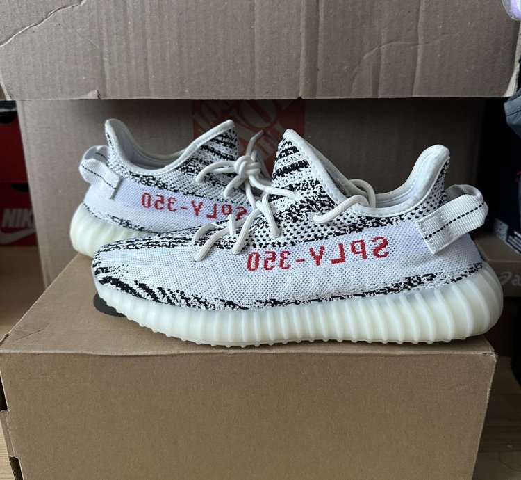 Zebra Yeezy
