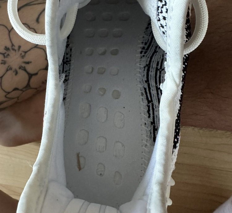 Zebra Yeezy