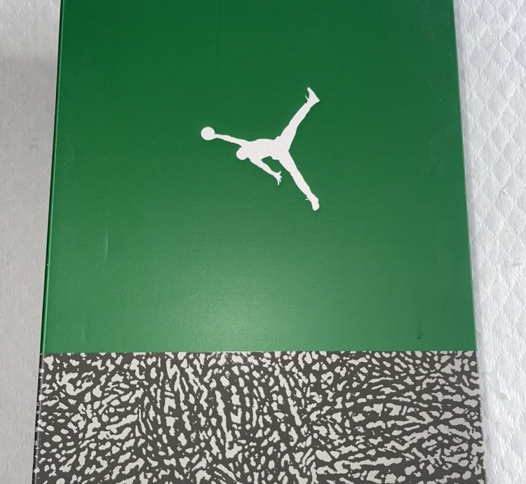 Air Jordan 3 Pine Green Ds Size 10