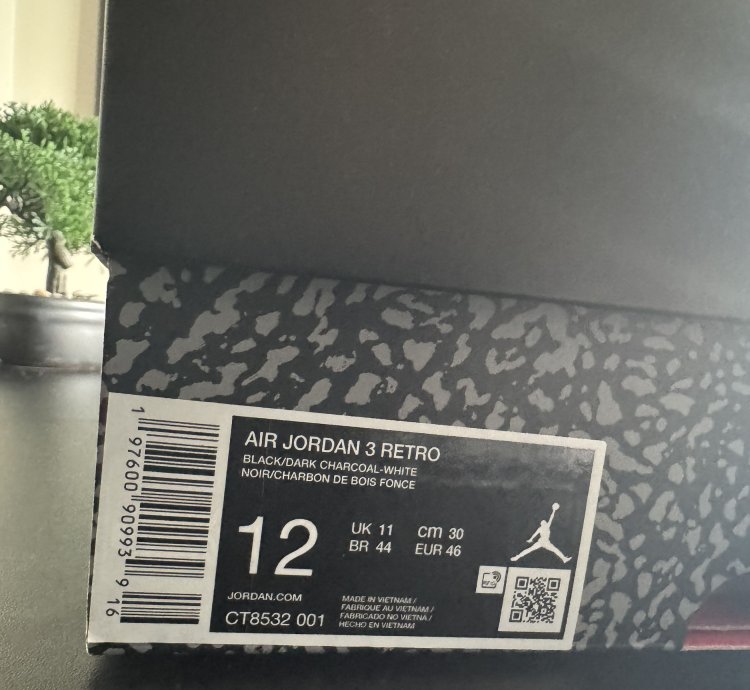 Air Jordan 3 Retro Black Cat