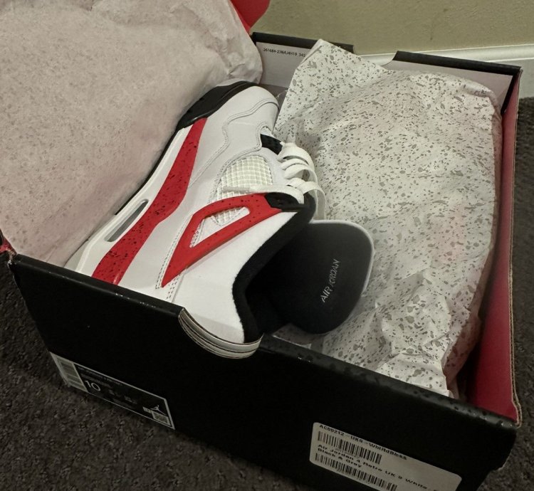 Air Jordan 4 Red Cement
