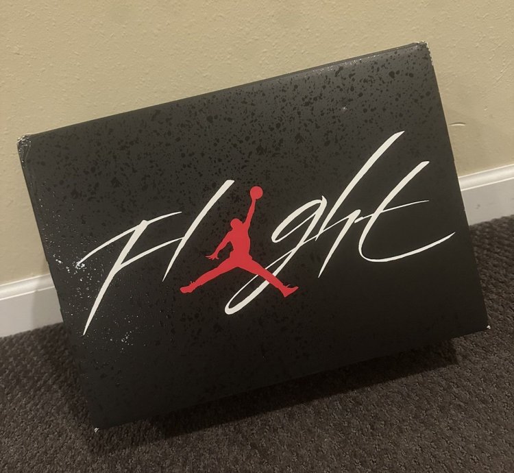 Air Jordan 4 Red Cement
