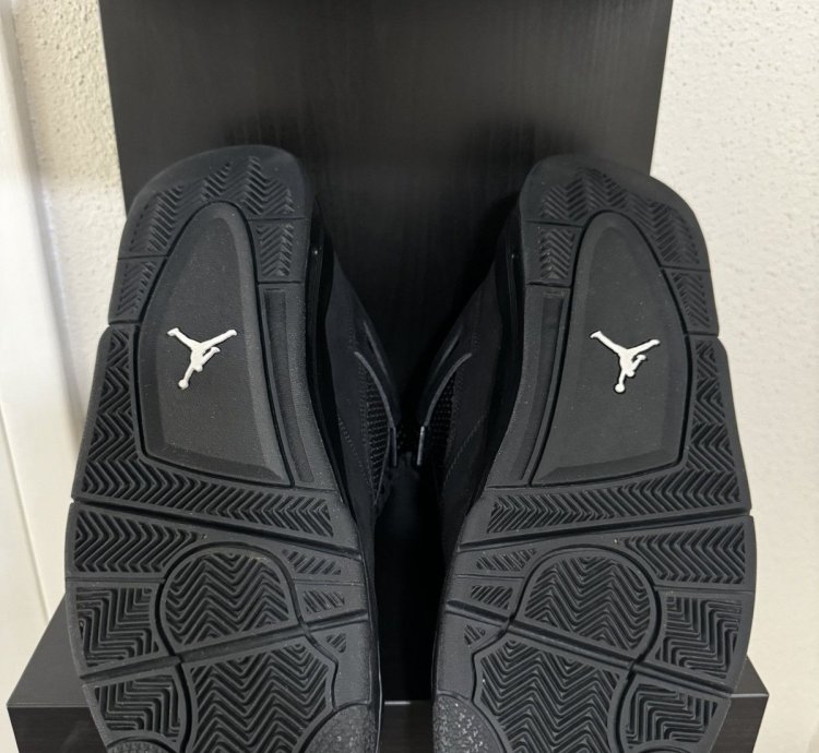 Air Jordan 4 Retro Black Cat 2020
