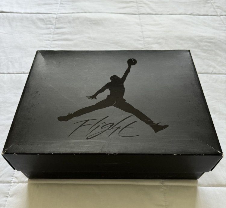 Air Jordan 4 Retro Black Cat 2020