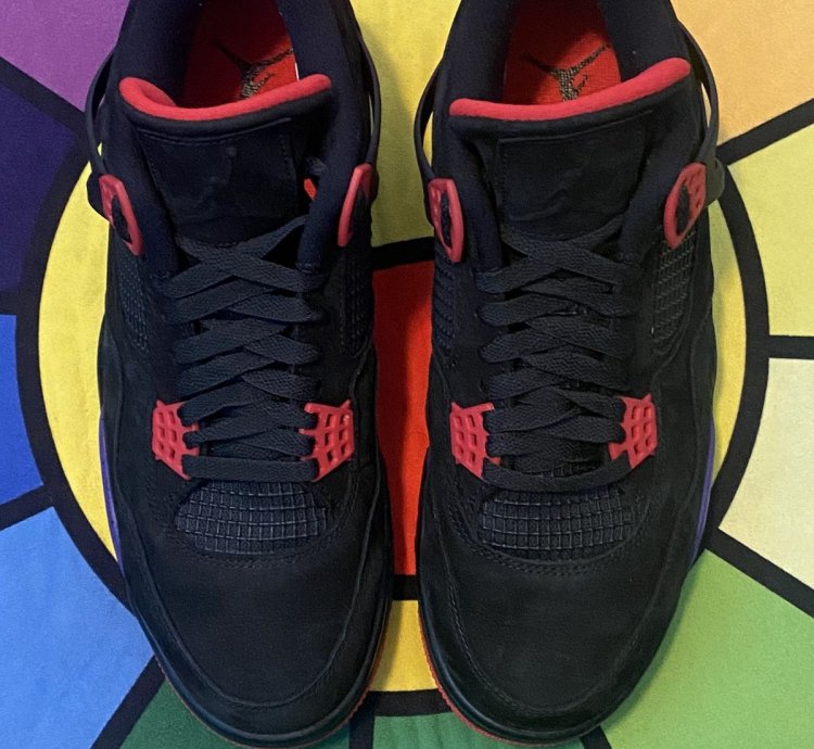 Air Jordan 4 Retro Nrg Raptors