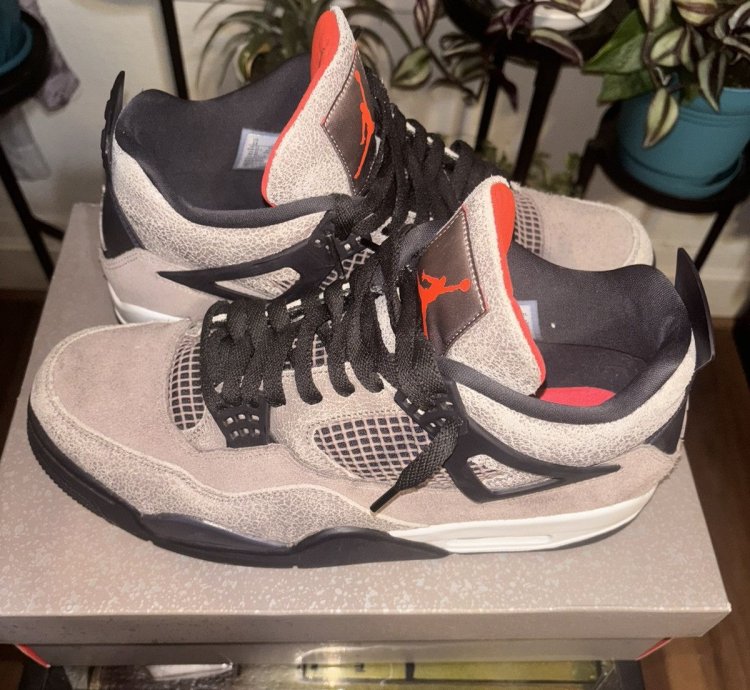 Air Jordan 4 Retro Taupe Haze