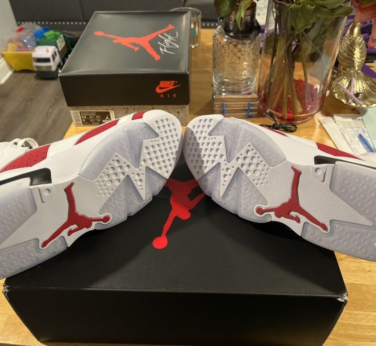 Air Jordan 6 Carmine