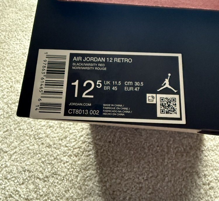 Air Jordan Retro 12 - Flu Game Size 12 5