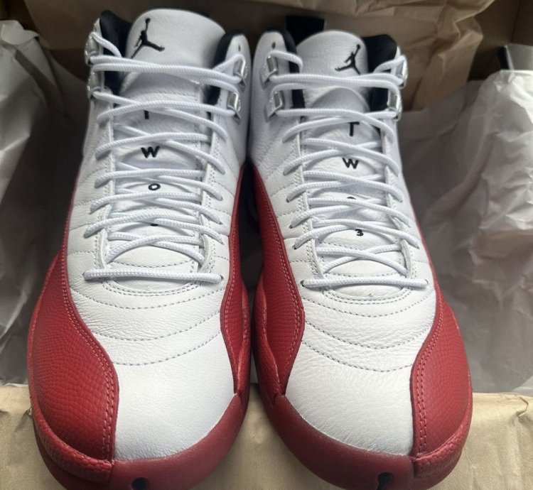Air Jordan Retro 12s And 11s Bundle Order