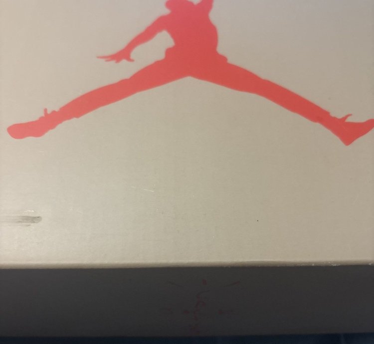 Air Jordan Travis Scott 6s